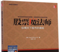 一个正在线注册制平台网站？股票魔法师pdf